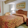 Oceanfront One Bedroom Queen Condo Image: 