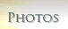 Photo Gallery