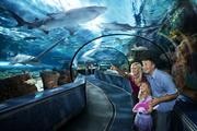 Welcome to Sea Watch Resort!