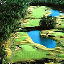 Azalea Sands